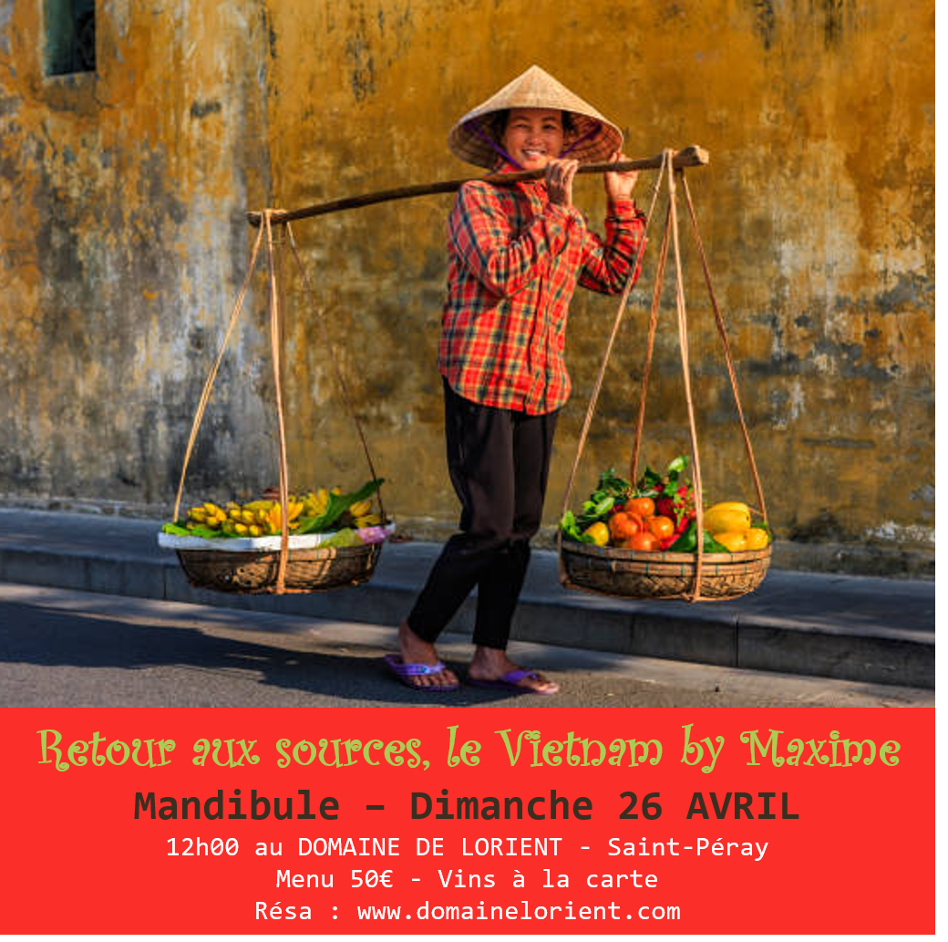DIMANCHE 26 AVRIL, LE VIETNAM BY MAXIME